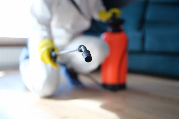  Salem, NC Mold Removal Pros