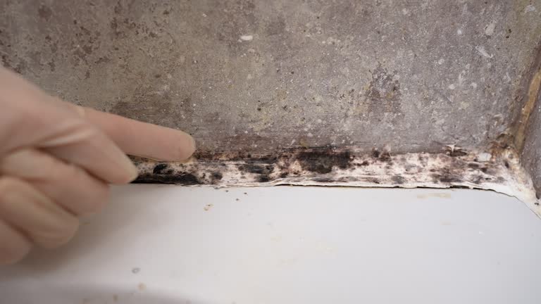 Asbestos and Lead Testing During Mold Inspection in Salem, NC